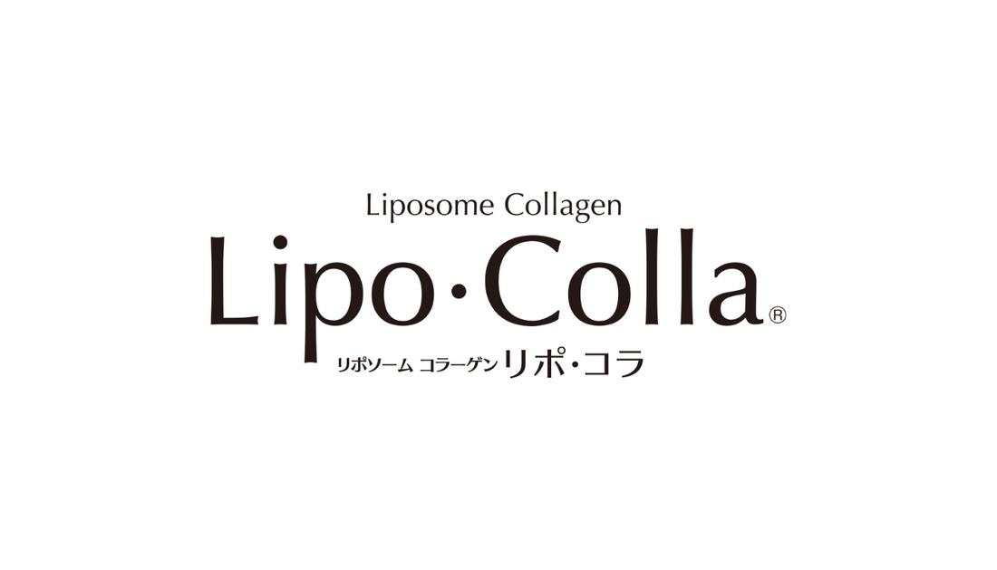 リン脂質（レシチン）について