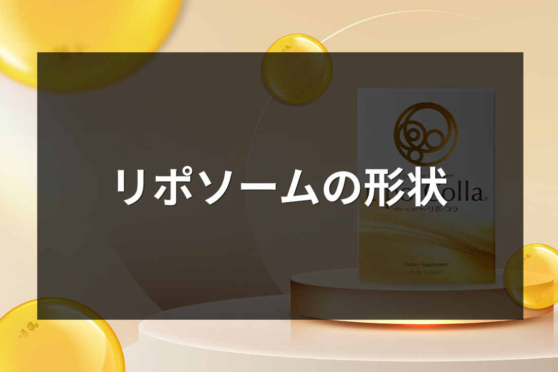 リポソームについて