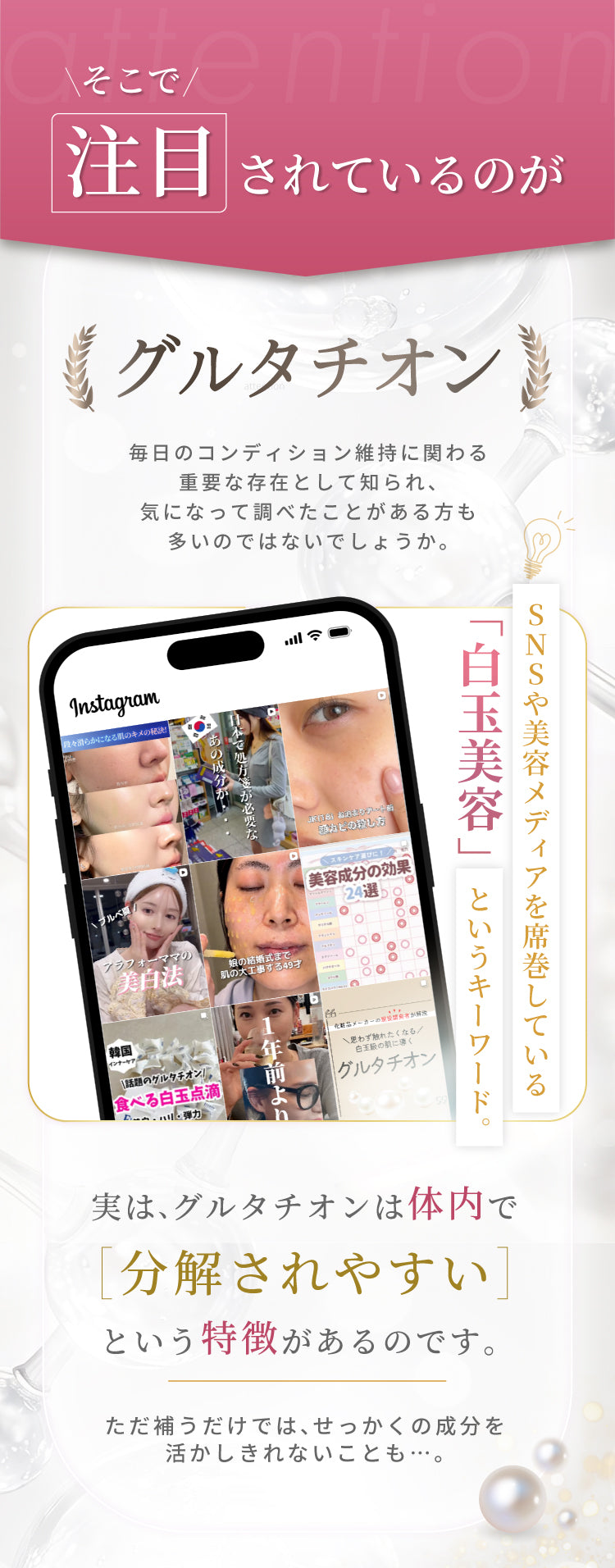LP画像
